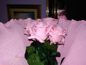 IMG_20160214_200811.jpg