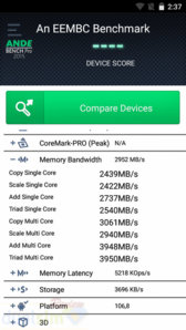 RAM1.jpg