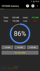 RAM3.jpg