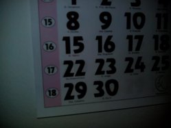 IMG_20130426_014559.jpg