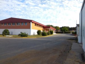 IMG_20160603_084650.jpg