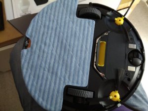 IMG_20160620_170223.jpg