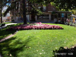 20160807_150841.JPG