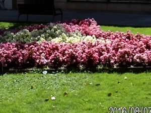 20160807_150853.JPG