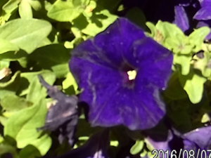 20160807_151026.JPG