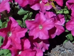 20160807_151039.JPG
