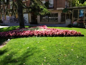 IMG_20160807_150910.jpg