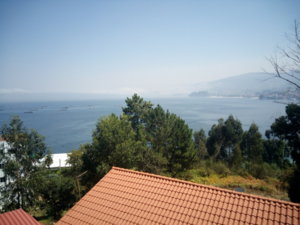 IMG_20160813_134650.jpg
