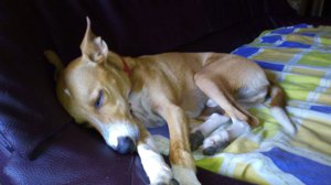 IMG-20160901-WA0002.jpg