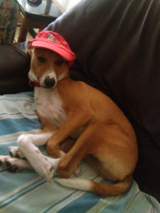 IMG-20160904-WA0004.jpg