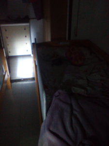 IMG_20161001_092954.jpg
