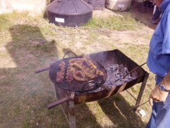 IMG_20130423_121215.jpg