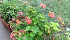 IMG_20130429_103505.jpg