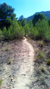 Imagen3.jpg
