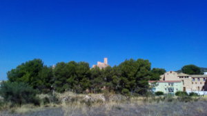 Imagen4.jpg