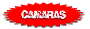 CAMARA.png