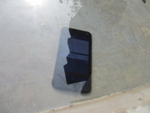IMG_6656.JPG