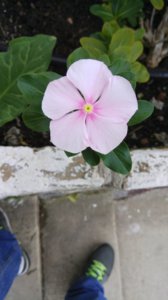 IMG_20161028_090753_STEREO.jpg