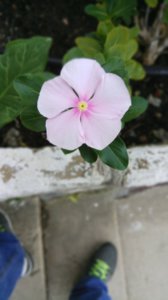 IMG_20161028_090813_STEREO.jpg