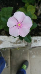 IMG_20161028_090823_STEREO.jpg