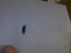 IMG_20130501_203415.jpg