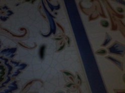 IMG_20130501_204238.jpg
