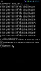 03-ping.jpg