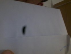 IMG_20130501_203417.jpg