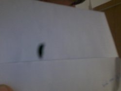 IMG_20130501_203421.jpg