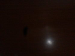 IMG_20130501_204255.jpg