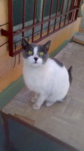 IMG_2017-02-25 13:31:40.jpg