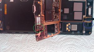 IMG_20160825_075616146.jpg