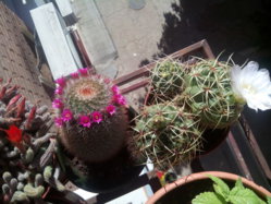 img20130601184002.jpg