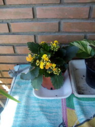 img20130601184031.jpg