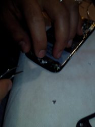IMG_20130603_192424.jpg