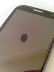 IMG_20130614_190449.jpg