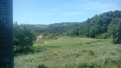 IMG_20130615_130906.jpg