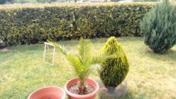 IMG_20130619_132322.jpg