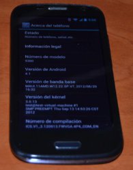 Phonochino.jpg