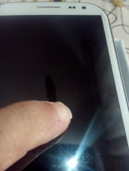 IMG_20130629_124113.jpg