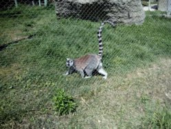 IMG_20130620_112928.jpg
