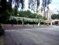 IMG_20130703_091504.jpg
