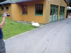IMG_20130709_182720_1.jpg