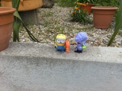 IMG_20120101_035111.jpg
