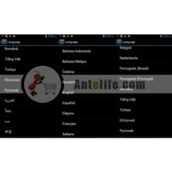 thl_17_1.jpg