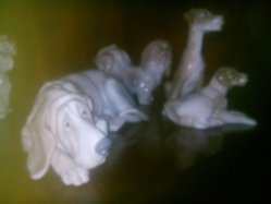IMG_20130101_022540.jpg