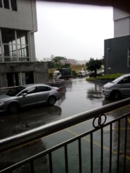 IMG_20120110_200248_zpsff263847.jpg