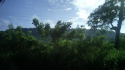 IMG_20130805_083200_828.jpg