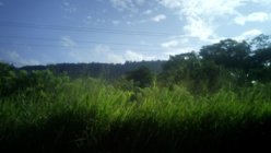IMG_20130805_083215_255.jpg