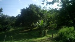 IMG_20130805_083217_895.jpg